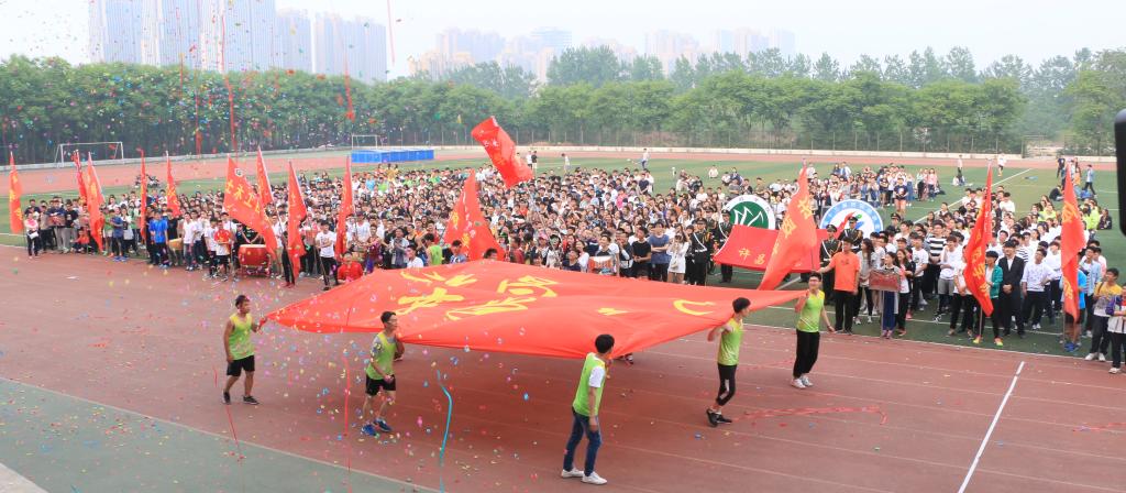 13.胜利后的庆祝和喜悦